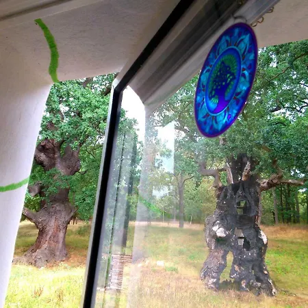 Vakantieboerderij Ekozamecek Stroupecek *