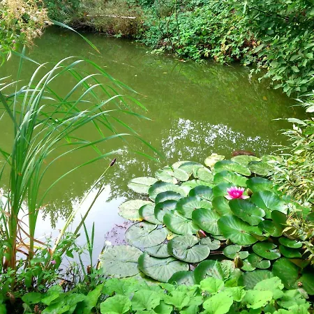 Vakantieboerderij Ekozamecek Stroupecek Žatec
