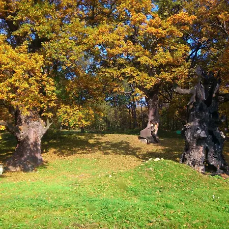 Vakantieboerderij Ekozamecek Stroupecek